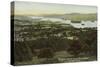 Windermere from Orrest Head, Lake District-null-Stretched Canvas