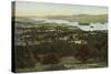 Windermere from Orrest Head, Lake District-null-Stretched Canvas