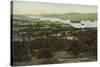 Windermere from Orrest Head, Lake District-null-Stretched Canvas