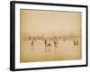 Windermere Frozen Over-null-Framed Photographic Print