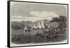 Windermere Regatta, the Race on the Third Day for Mr Aufrere's Cup-null-Framed Stretched Canvas