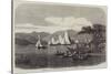 Windermere Regatta, the Race on the Third Day for Mr Aufrere's Cup-null-Stretched Canvas