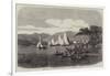 Windermere Regatta, the Race on the Third Day for Mr Aufrere's Cup-null-Framed Giclee Print