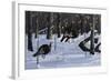 Windfall Crossing-Wilhelm Goebel-Framed Giclee Print