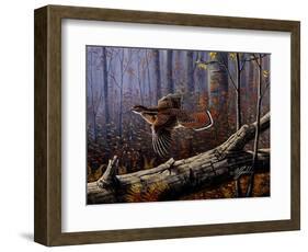 Windfall Glider - Ruffed Grouse-Wilhelm Goebel-Framed Giclee Print