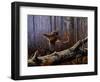 Windfall Glider - Ruffed Grouse-Wilhelm Goebel-Framed Giclee Print