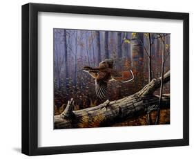 Windfall Glider - Ruffed Grouse-Wilhelm Goebel-Framed Giclee Print