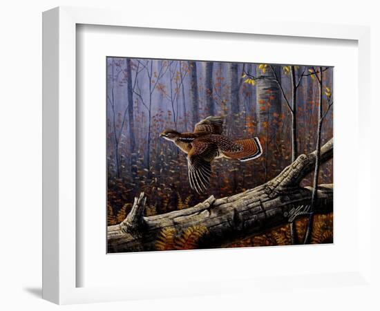 Windfall Glider - Ruffed Grouse-Wilhelm Goebel-Framed Giclee Print