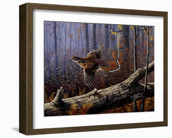 Windfall Glider - Ruffed Grouse-Wilhelm Goebel-Framed Giclee Print