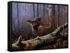 Windfall Glider - Ruffed Grouse-Wilhelm Goebel-Framed Stretched Canvas