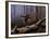 Windfall Glider - Ruffed Grouse-Wilhelm Goebel-Framed Giclee Print