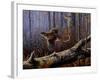 Windfall Glider - Ruffed Grouse-Wilhelm Goebel-Framed Giclee Print