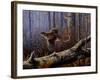 Windfall Glider - Ruffed Grouse-Wilhelm Goebel-Framed Giclee Print