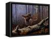 Windfall Glider - Ruffed Grouse-Wilhelm Goebel-Framed Stretched Canvas