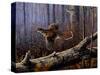 Windfall Glider - Ruffed Grouse-Wilhelm Goebel-Stretched Canvas