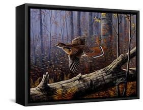 Windfall Glider - Ruffed Grouse-Wilhelm Goebel-Framed Stretched Canvas