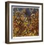 Windfall-Jan Wagstaff-Framed Limited Edition