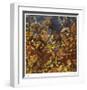 Windfall-Jan Wagstaff-Framed Limited Edition