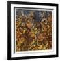 Windfall-Jan Wagstaff-Framed Limited Edition