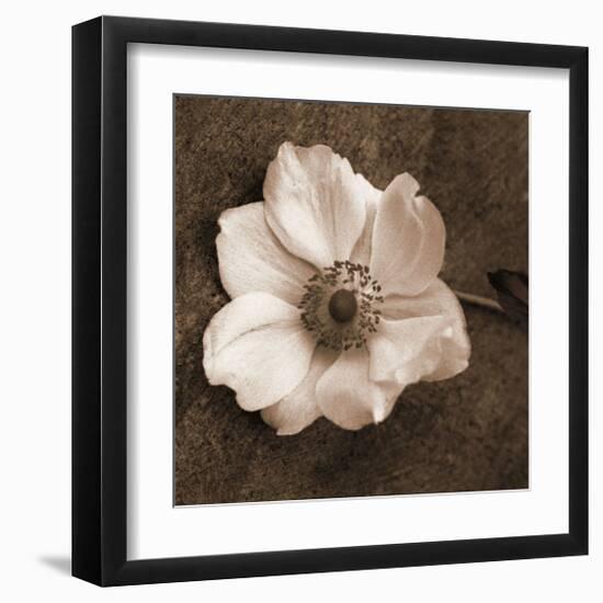 Windflower I-Heather Johnston-Framed Giclee Print