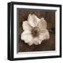 Windflower I-Heather Johnston-Framed Giclee Print