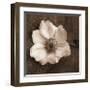 Windflower I-Heather Johnston-Framed Giclee Print