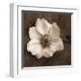 Windflower I-Heather Johnston-Framed Giclee Print