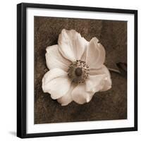 Windflower I-Heather Johnston-Framed Giclee Print