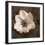 Windflower I-Heather Johnston-Framed Giclee Print