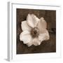 Windflower I-Heather Johnston-Framed Giclee Print