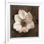 Windflower I-Heather Johnston-Framed Giclee Print