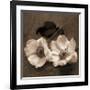 Windflower II-Heather Johnston-Framed Giclee Print