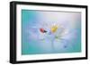 Windflower Lady-Jacky Parker-Framed Giclee Print