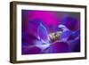 Windflower-Jacky Parker-Framed Giclee Print