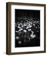 Windflowers-Design Fabrikken-Framed Photographic Print