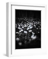 Windflowers-Design Fabrikken-Framed Photographic Print