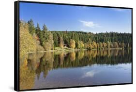 Windgfällweiher, close Schluchsee, Black Forest, Baden-Wurttemberg, Germany-Markus Lange-Framed Stretched Canvas