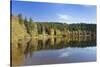 Windgfällweiher, close Schluchsee, Black Forest, Baden-Wurttemberg, Germany-Markus Lange-Stretched Canvas