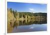 Windgfällweiher, close Schluchsee, Black Forest, Baden-Wurttemberg, Germany-Markus Lange-Framed Photographic Print