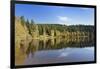 Windgfällweiher, close Schluchsee, Black Forest, Baden-Wurttemberg, Germany-Markus Lange-Framed Photographic Print