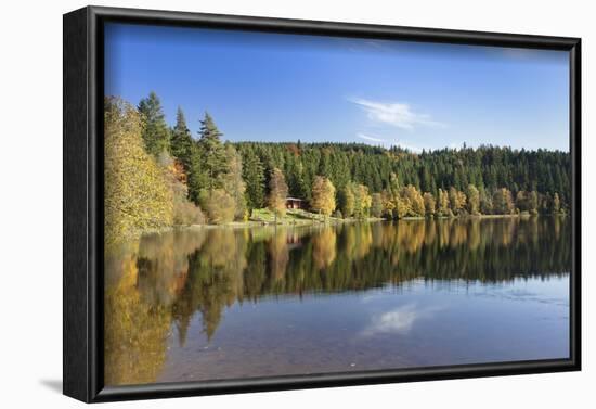 Windgfällweiher, close Schluchsee, Black Forest, Baden-Wurttemberg, Germany-Markus Lange-Framed Photographic Print