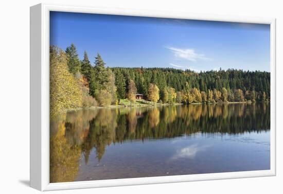 Windgfällweiher, close Schluchsee, Black Forest, Baden-Wurttemberg, Germany-Markus Lange-Framed Photographic Print