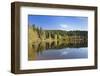 Windgfällweiher, close Schluchsee, Black Forest, Baden-Wurttemberg, Germany-Markus Lange-Framed Photographic Print