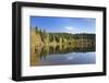 Windgfällweiher, close Schluchsee, Black Forest, Baden-Wurttemberg, Germany-Markus Lange-Framed Photographic Print