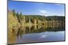 Windgfällweiher, close Schluchsee, Black Forest, Baden-Wurttemberg, Germany-Markus Lange-Mounted Photographic Print