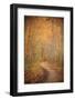 Winding Autumn Path-Michael Hudson-Framed Giclee Print