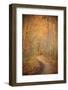 Winding Autumn Path-Michael Hudson-Framed Giclee Print