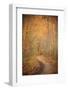 Winding Autumn Path-Michael Hudson-Framed Giclee Print