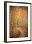 Winding Autumn Path-Michael Hudson-Framed Giclee Print