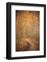 Winding Autumn Path-Michael Hudson-Framed Art Print